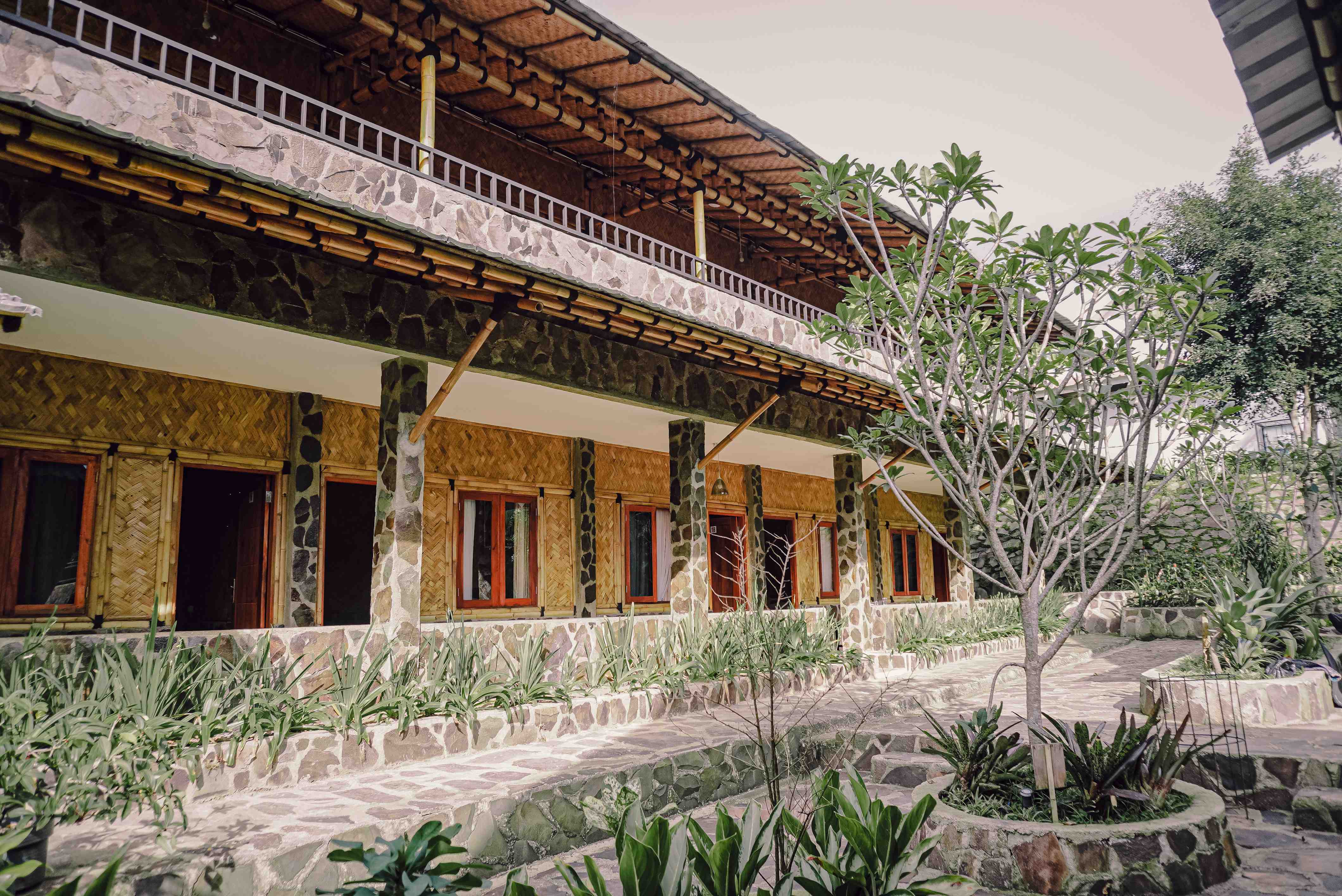 Damar pondok-kapilih-060323171156-damar-1.jpg